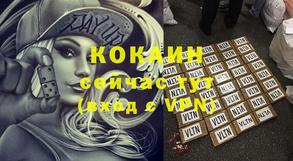 гашик Осташков