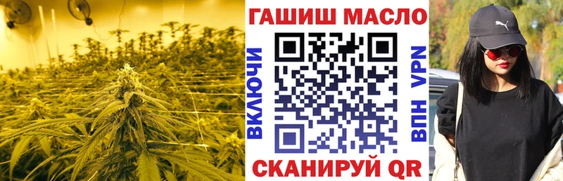 магазин    Пионерский  ТГК концентрат 