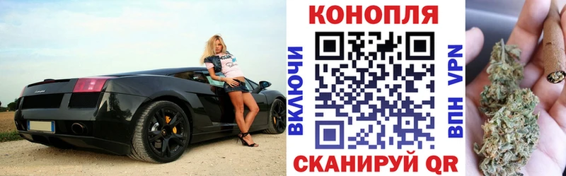 Марихуана гибрид Пионерский